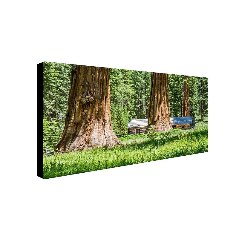 Trademark Pierre Leclerc "Giant Sequoia Cabin" Gallery-Wrapped Canvas Art, 12" x 24" image 1