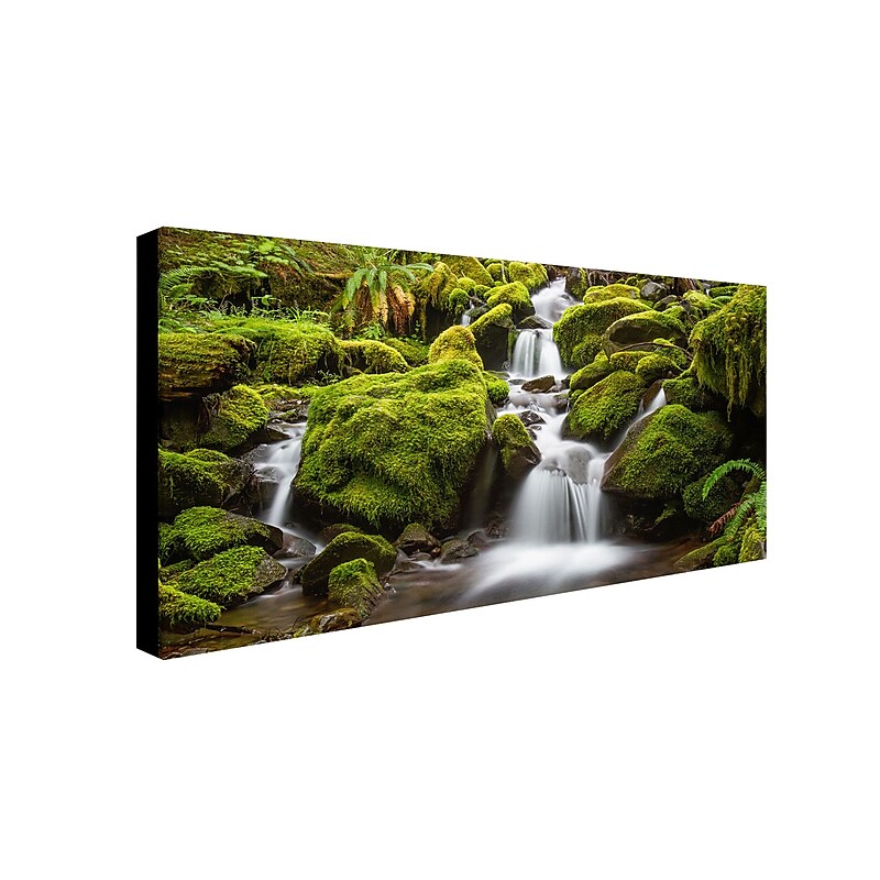 Trademark Pierre Leclerc "Green Moss Stream" Gallery-Wrapped Canvas Art, 10" x 19" image 1