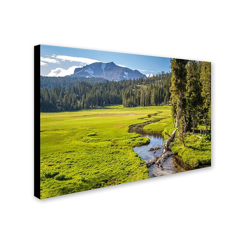 Trademark Pierre Leclerc "Lassen Meadow" Gallery-Wrapped Canvas Art, 16" x 24" image 1