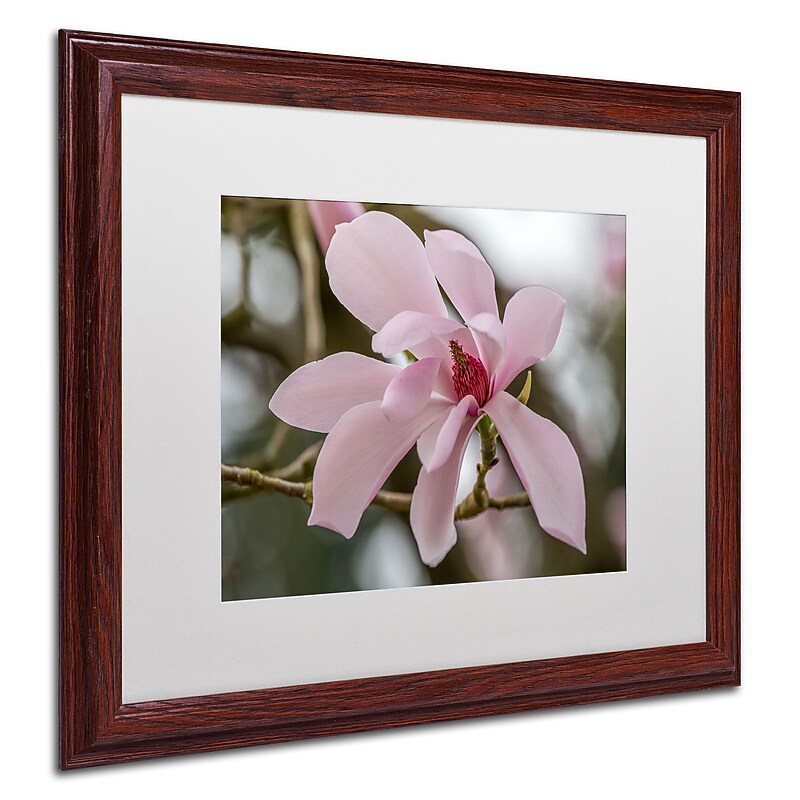 Trademark Pierre Leclerc "Magnolia" Art, White Matte W/Wood Frame, 16" x 20" image 1