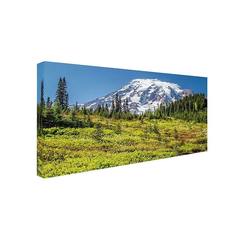 Trademark Pierre Leclerc "Mount Rainier Meadow" Gallery-Wrapped Canvas Art, 24" x 47" image 1