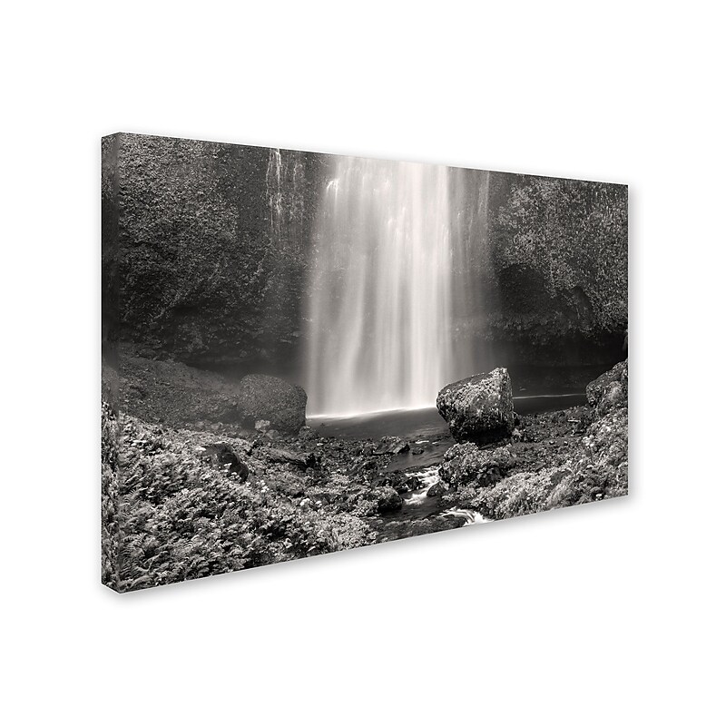 Trademark Pierre Leclerc "Multnomah BW" Gallery-Wrapped Canvas Art, 30" x 47" image 1
