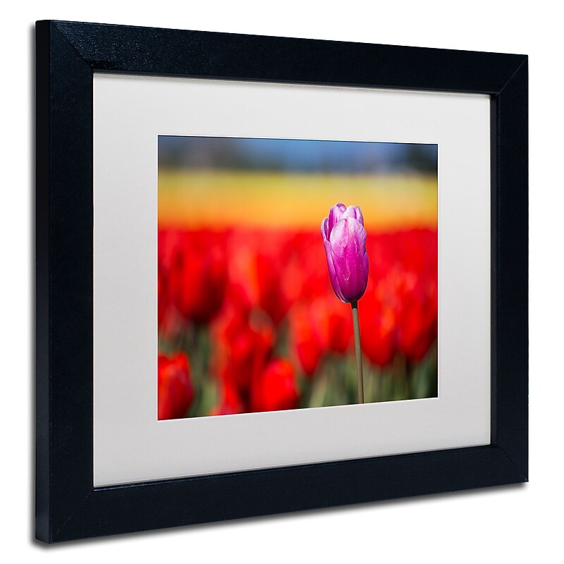 Trademark Pierre Leclerc "Purple Tulip" Art, White Matte W/Black Frame, 11" x 14" image 1