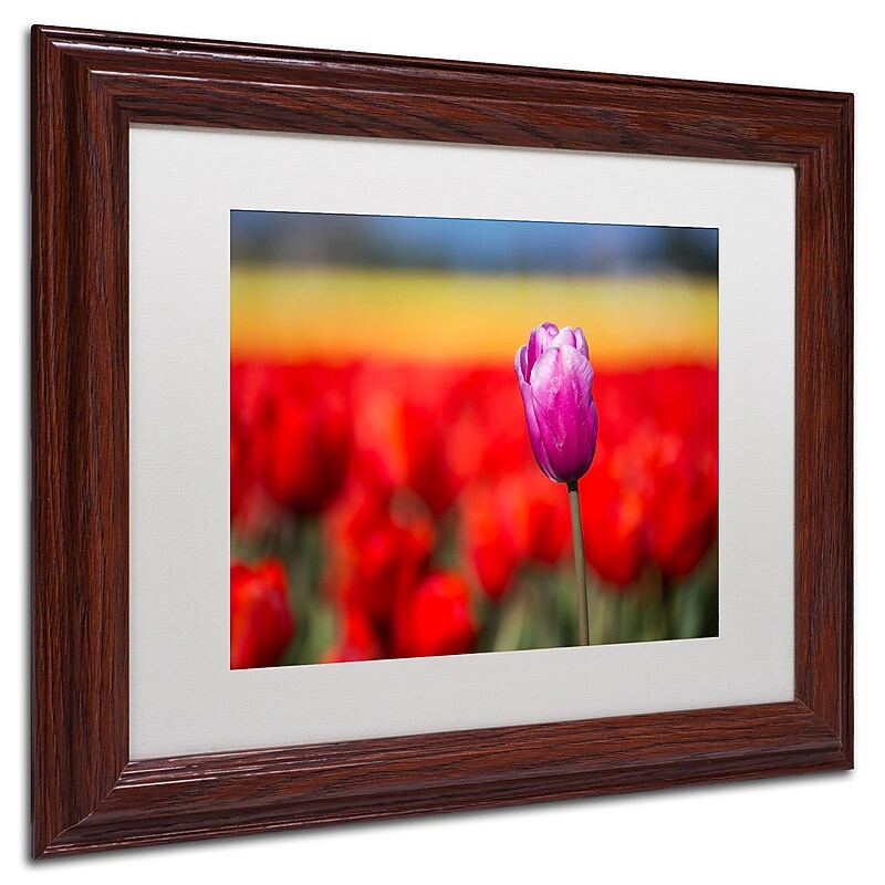 Trademark Pierre Leclerc "Purple Tulip" Art, White Matte W/Wood Frame, 11" x 14" image 1