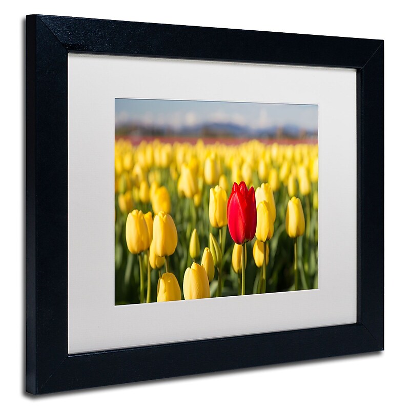Trademark Pierre Leclerc "Red Tulip" Art, White Matte W/Black Frame, 11" x 14" image 1