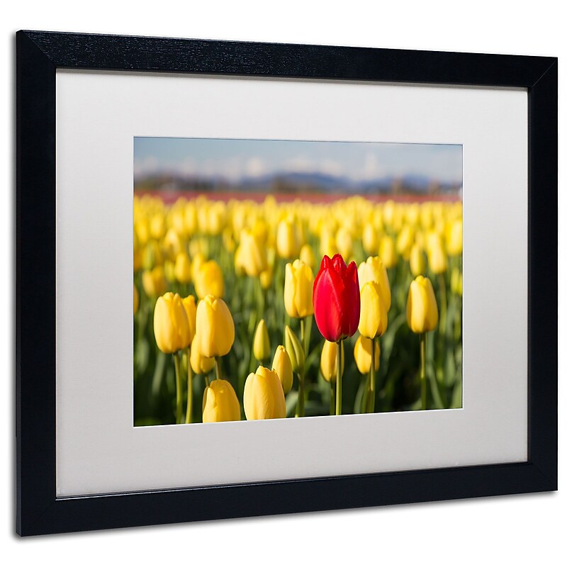 Trademark Pierre Leclerc "Red Tulip" Art, White Matte W/Black Frame, 16" x 20" image 1