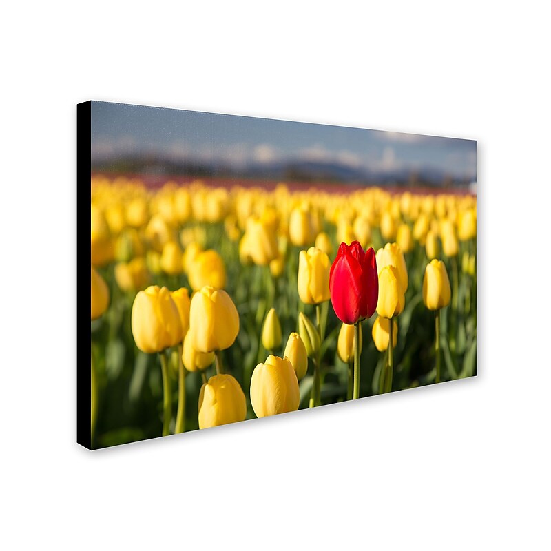 Trademark Pierre Leclerc "Red Tulip" Gallery-Wrapped Canvas Art, 30" x 47" image 1