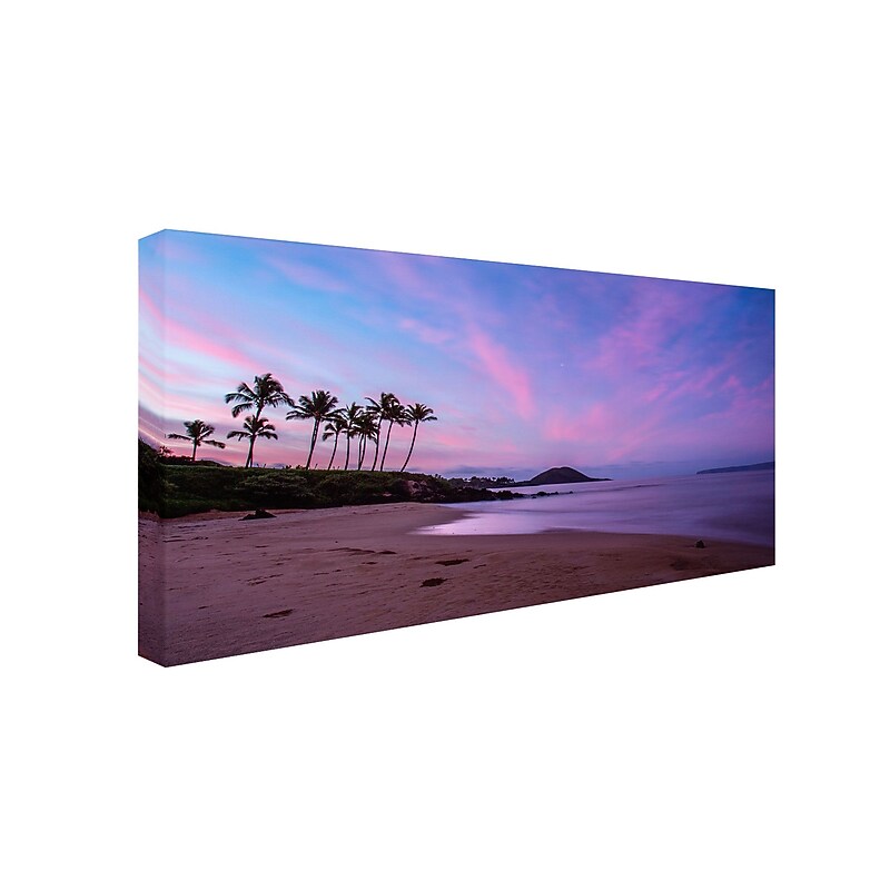 Trademark Pierre Leclerc "Secret Beach" Gallery-Wrapped Canvas Art, 10" x 19" image 1