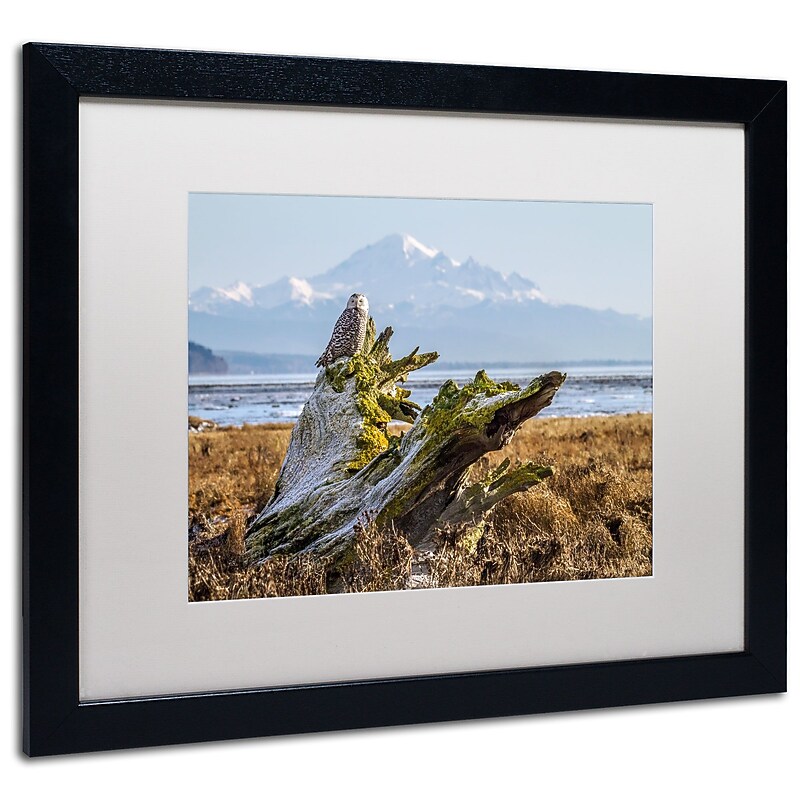 Trademark Pierre Leclerc "Snowy Owl" Art, White Matte W/Black Frame, 16" x 20" image 1