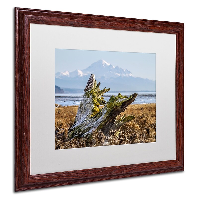 Trademark Pierre Leclerc "Snowy Owl" Art, White Matte W/Wood Frame, 16" x 20" image 1