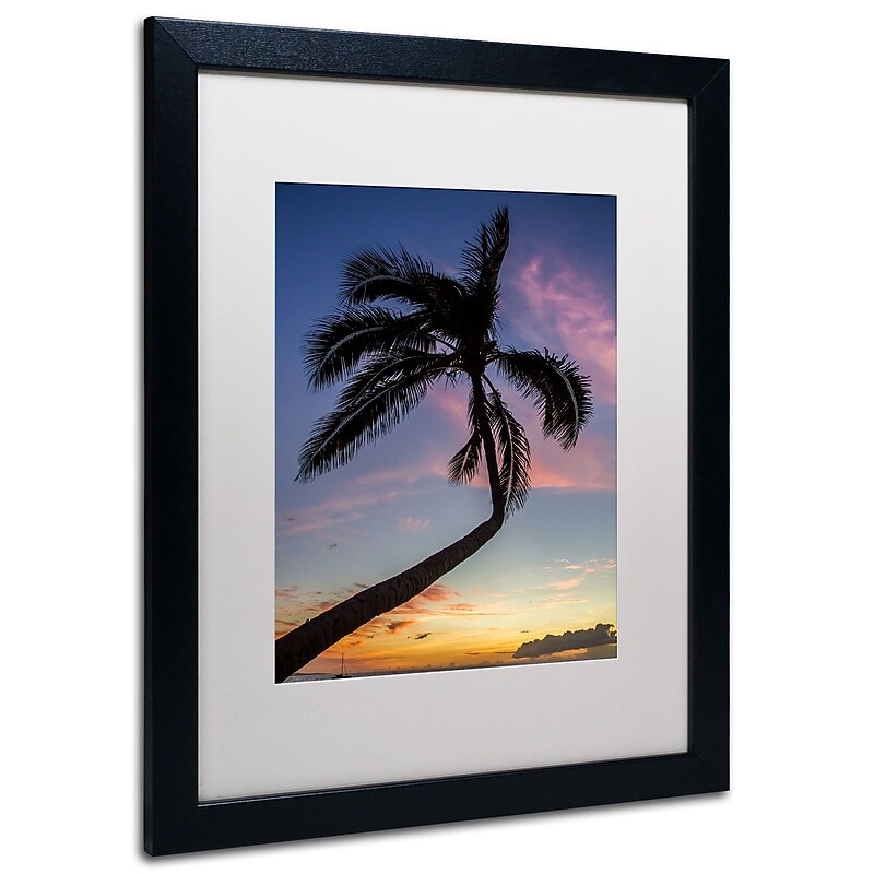 Trademark Pierre Leclerc "Sunset Palm" Art, White Matte W/Black Frame, 16" x 20" image 1