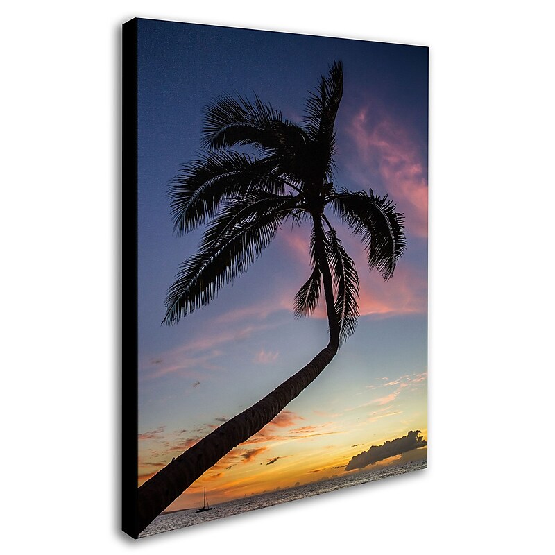 Trademark Pierre Leclerc "Sunset Palm" Gallery-Wrapped Canvas Art, 24" x 32" image 1