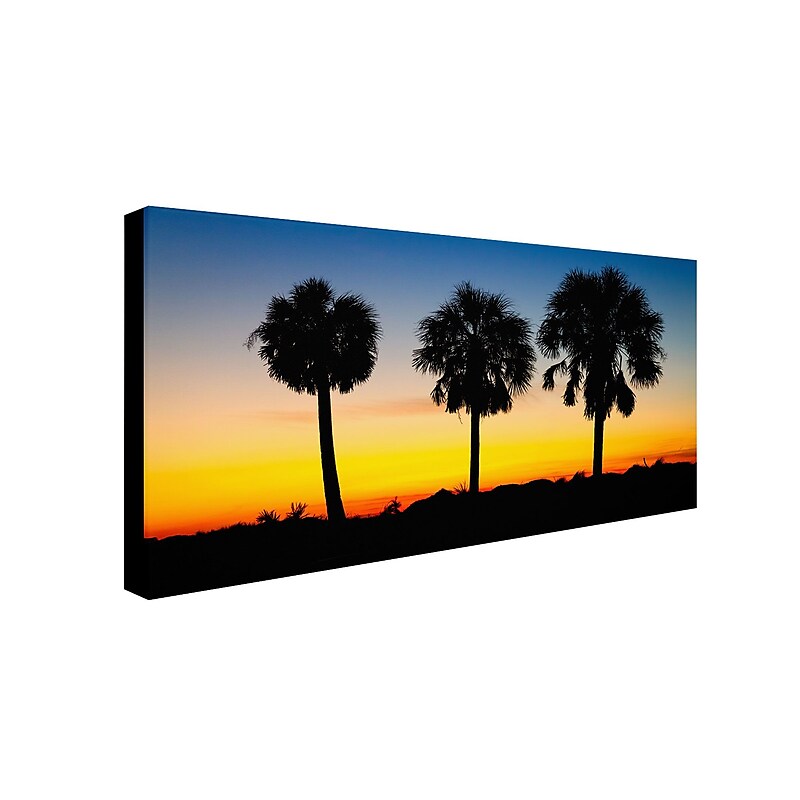 Trademark Pierre Leclerc "Three Amigos" Gallery-Wrapped Canvas Art, 12" x 24" image 1