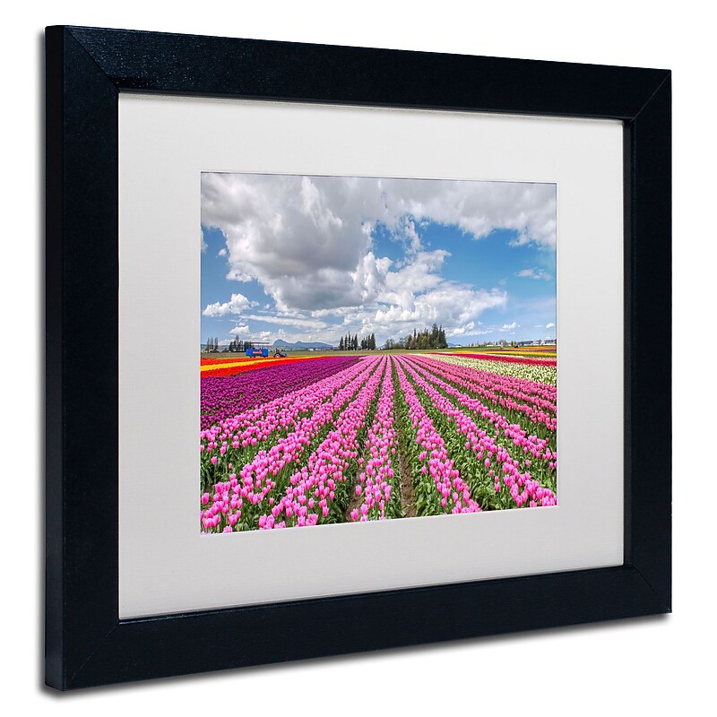 Trademark Pierre Leclerc "Tulip Field" Art, White Matte W/Black Frame, 11" x 14" image 1