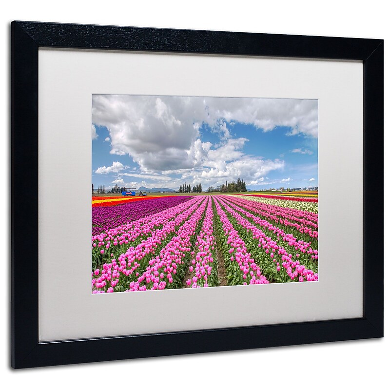 Trademark Pierre Leclerc "Tulip Field" Art, White Matte W/Black Frame, 16" x 20" image 1