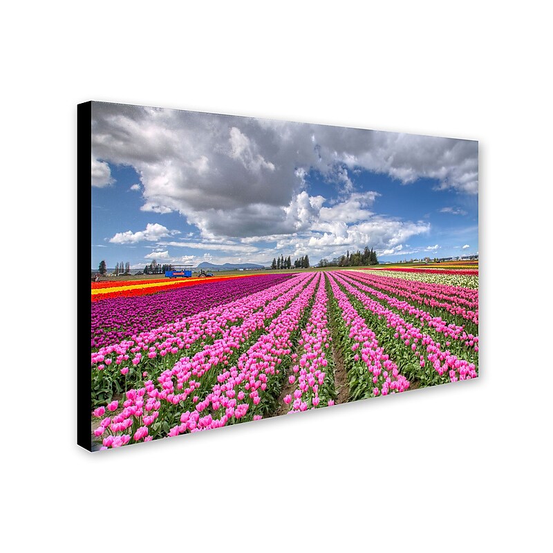 Trademark Pierre Leclerc "Tulip Field" Gallery-Wrapped Canvas Art, 16" x 24" image 1
