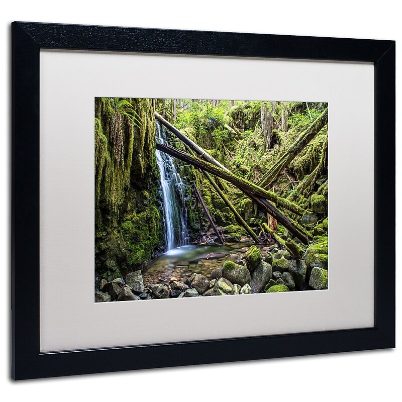 Trademark Pierre Leclerc "Wilderness" Art, White Matte W/Black Frame, 16" x 20" image 1