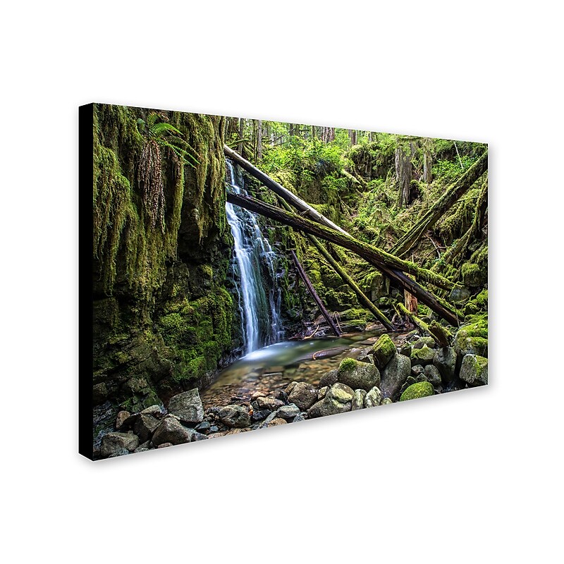 Trademark Pierre Leclerc "Wilderness" Gallery-Wrapped Canvas Art, 30" x 47" image 1
