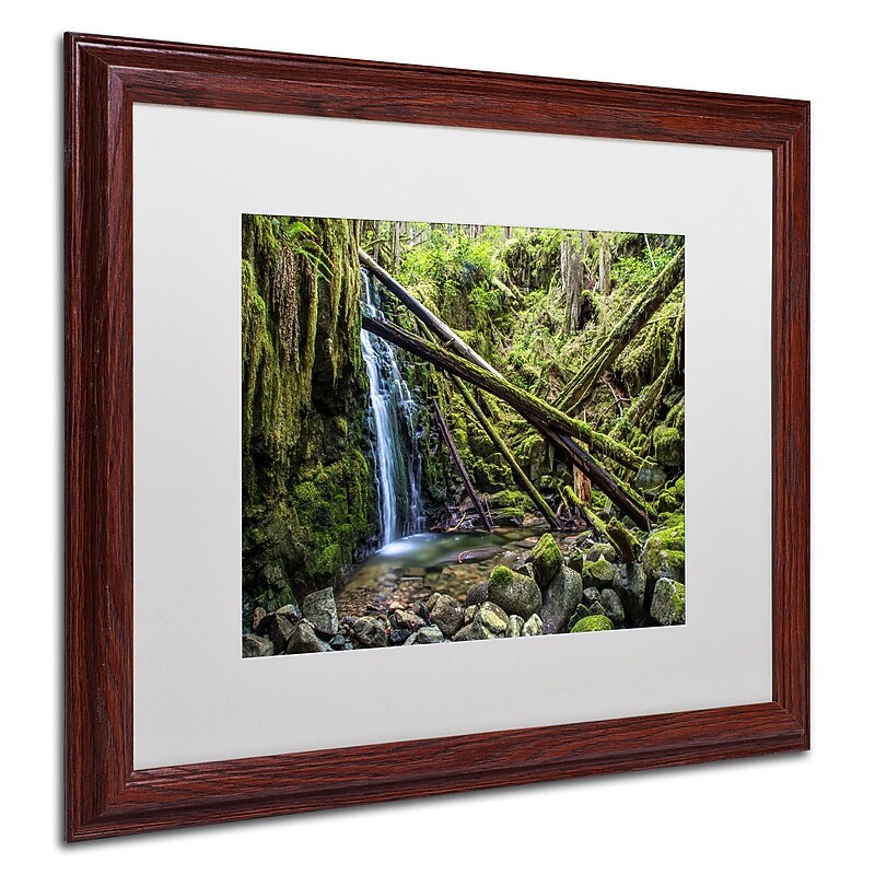 Trademark Pierre Leclerc "Wilderness" Art, White Matte W/Wood Frame, 16" x 20" image 1