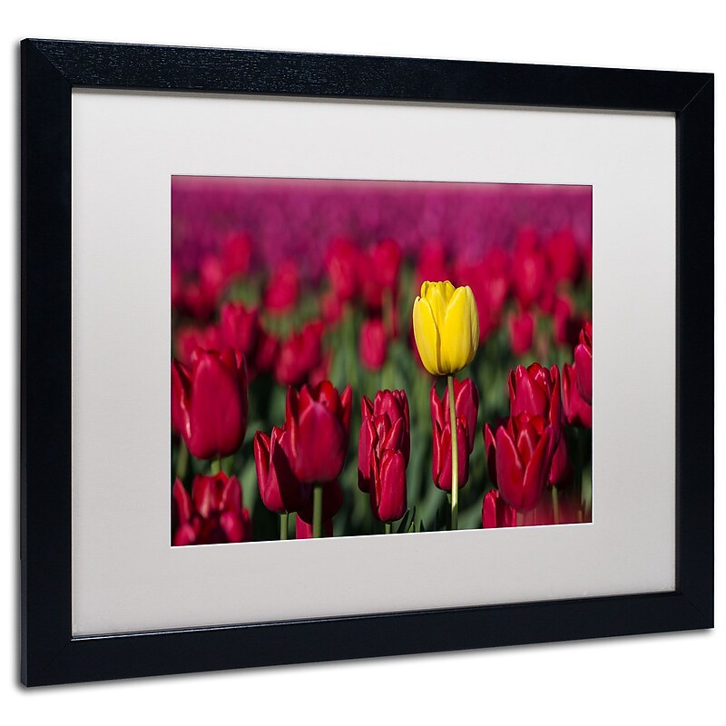 Trademark Pierre Leclerc "Yellow Tulip" Art, White Matte W/Black Frame, 16" x 20" image 1