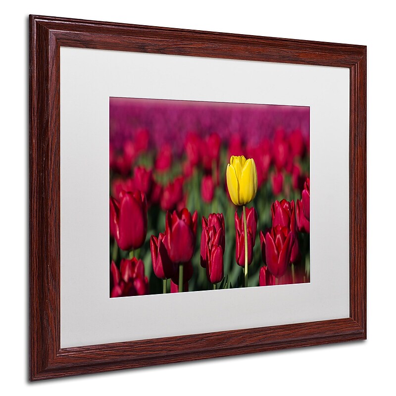 Trademark Pierre Leclerc "Yellow Tulip" Art, White Matte W/Wood Frame, 16" x 20" image 1
