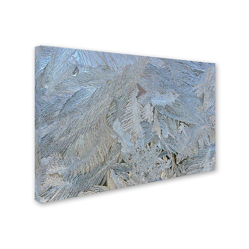 Trademark Kurt Shaffer "Frost Pattern #5" Gallery-Wrapped Canvas Art, 30" x 47" image 1