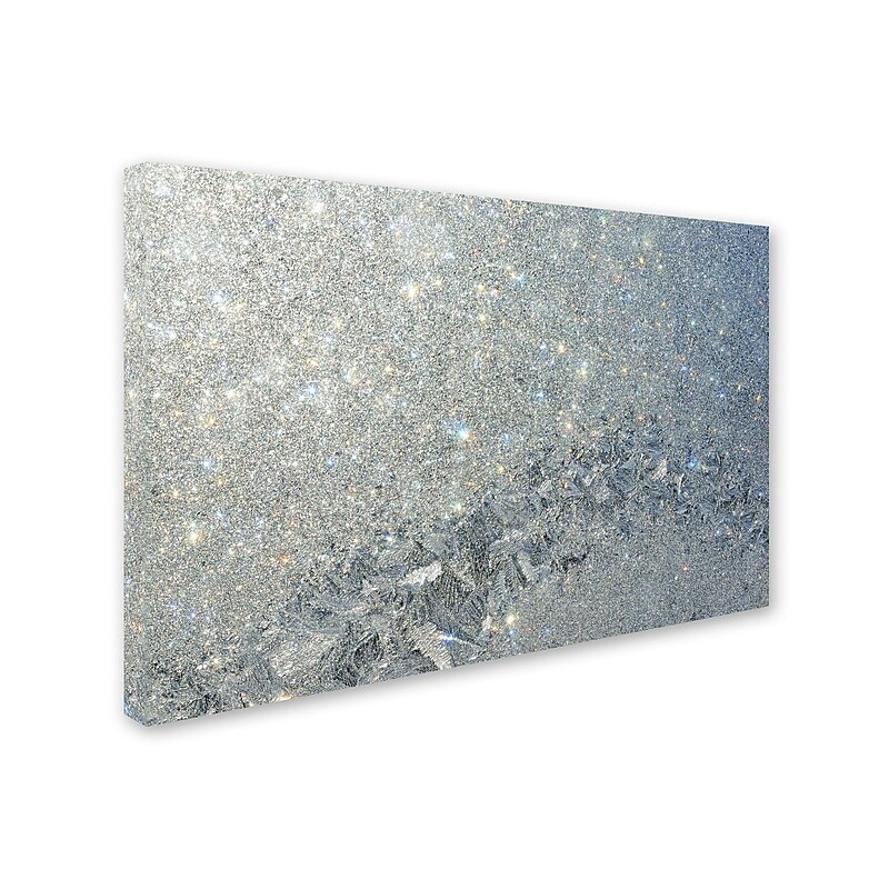 Trademark Kurt Shaffer "Frost Pattern Sun Stars" Gallery-Wrapped Canvas Art, 16" x 24" image 1