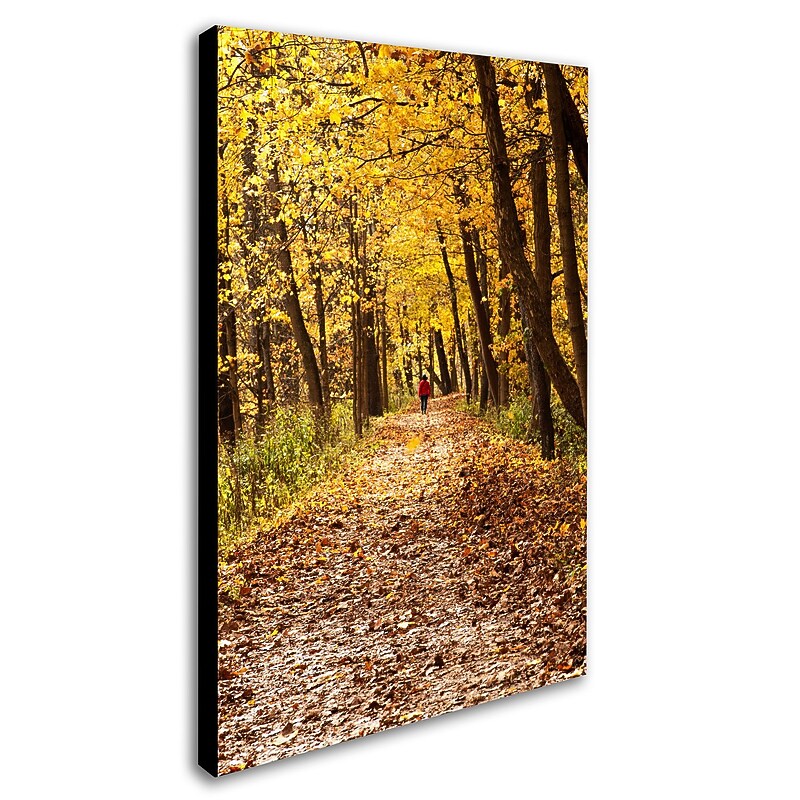 Trademark Kurt Shaffer "Golden Autumn Walk" Gallery-Wrapped Canvas Art, 16" x 24" image 1