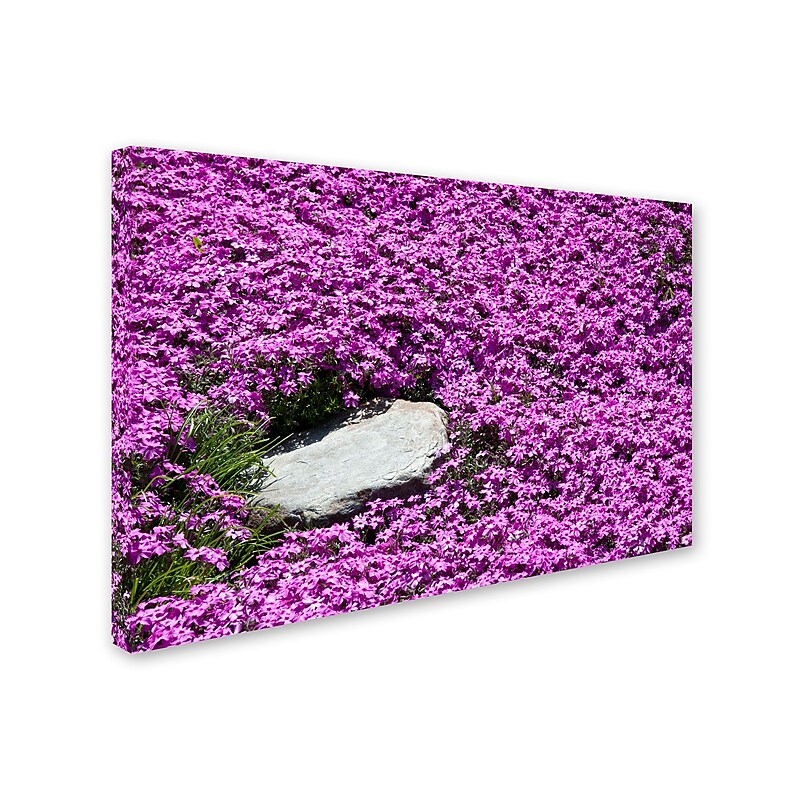 Trademark Kurt Shaffer "Island in Purple" Gallery-Wrapped Canvas Art, 16" x 24" image 1