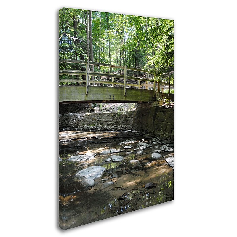 Trademark Monica Fleet "Amicable Escape" Gallery-Wrapped Canvas Art, 30" x 47" image 1
