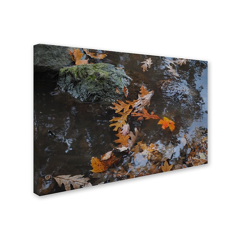 Trademark Monica Fleet "Buoyant" Gallery-Wrapped Canvas Art, 16" x 24" image 1