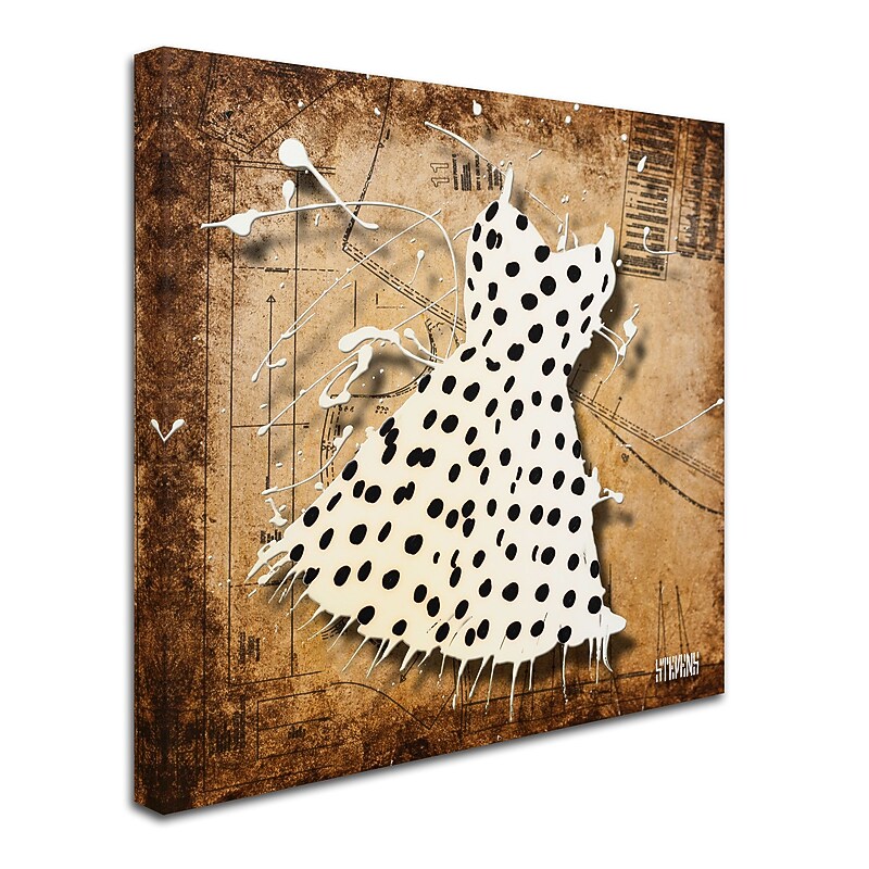 Trademark Roderick Stevens "Black on White" Gallery-Wrapped Canvas Art, 35" x 35" image 1