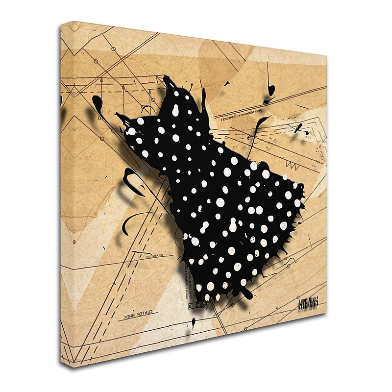 Trademark Roderick Stevens "White on Black" Gallery-Wrapped Canvas Art, 35" x 35" image 1