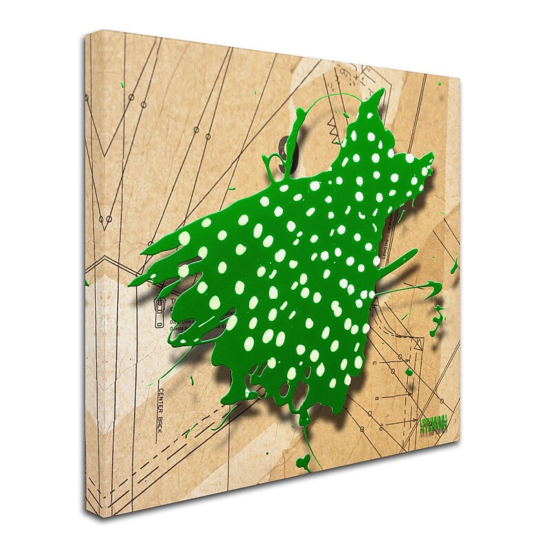 Trademark Roderick Stevens "White on Green" Gallery-Wrapped Canvas Art, 18" x 18" image 1