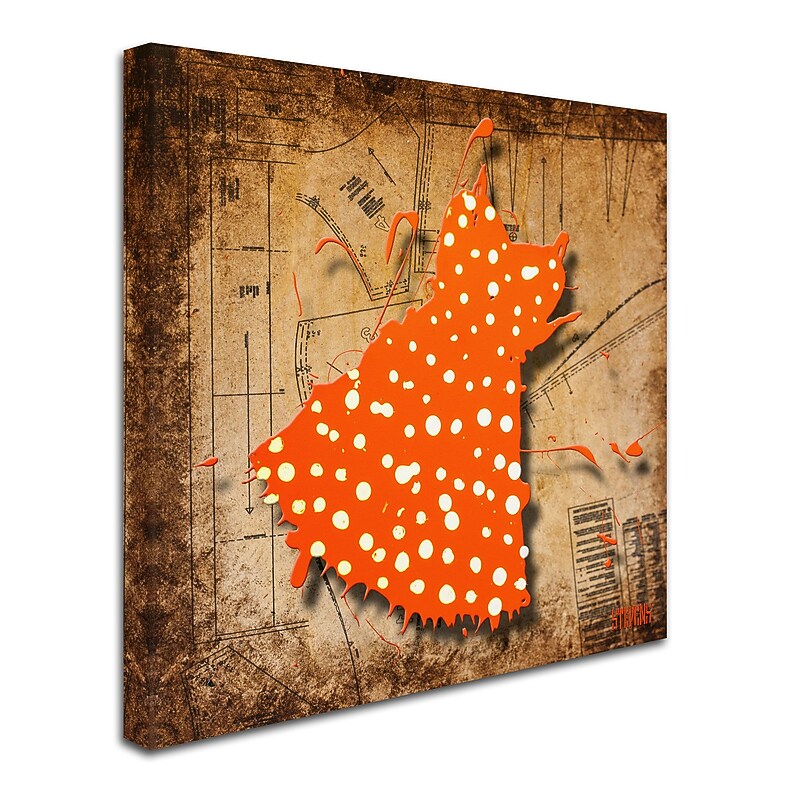 Trademark Roderick Stevens "White on Orange" Gallery-Wrapped Canvas Art, 14" x 14" image 1