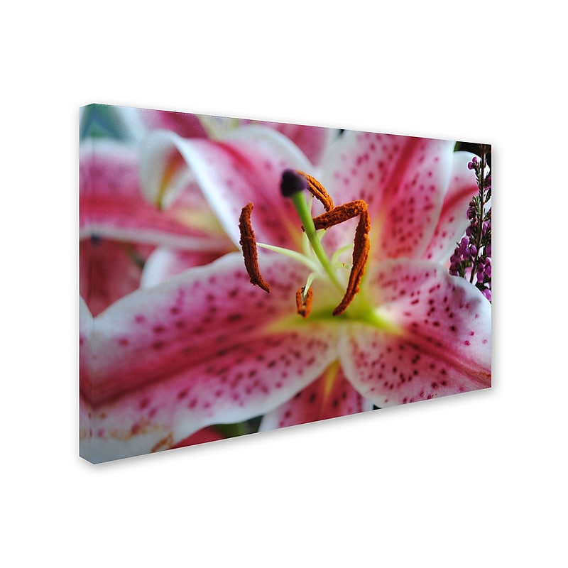 Trademark Monica Fleet "Clean Elegance" Gallery-Wrapped Canvas Art, 30" x 47" image 1