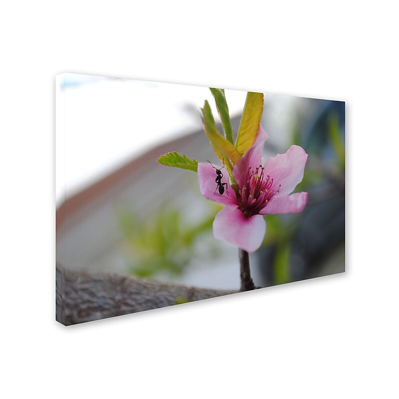 Trademark Monica Fleet "Expressive Individuality" Gallery-Wrapped Canvas Art, 22" x 32" image 1