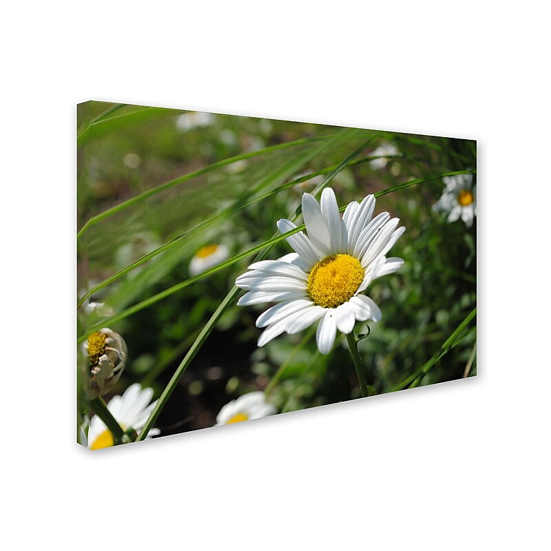 Trademark Monica Fleet "Flawless Imperfection" Gallery-Wrapped Canvas Art, 16" x 24" image 1