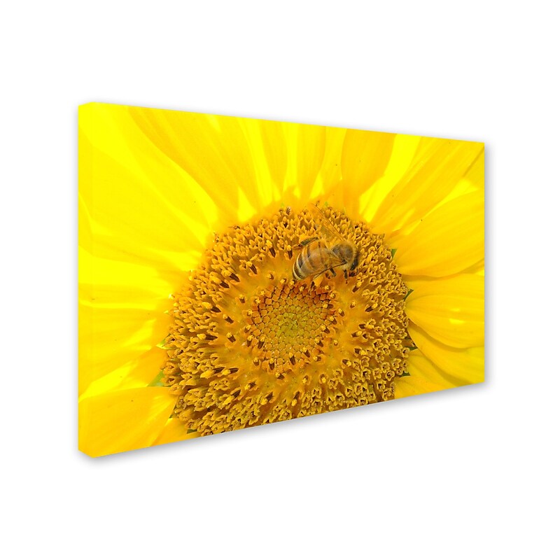 Trademark Monica Fleet "Honey-Maker" Gallery-Wrapped Canvas Art, 16" x 24" image 1