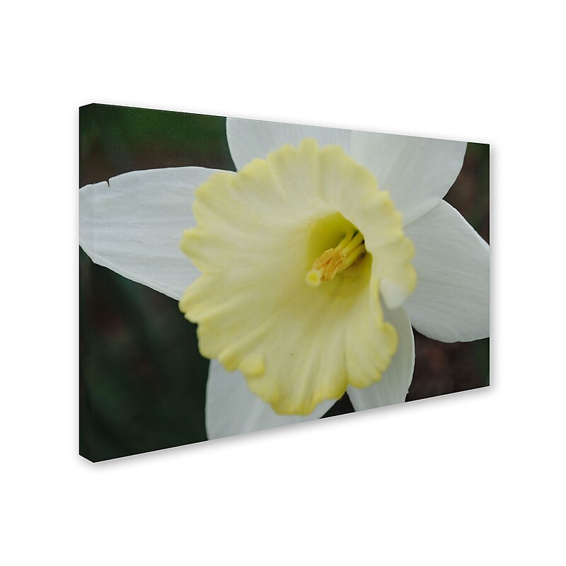 Trademark Monica Fleet "In-Depth" Gallery-Wrapped Canvas Art, 22" x 32" image 1