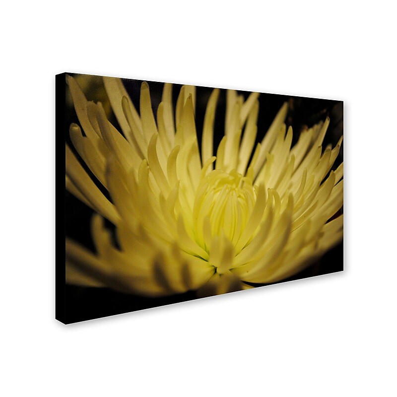 Trademark Monica Fleet "Inner Light" Gallery-Wrapped Canvas Art, 12" x 19" image 1