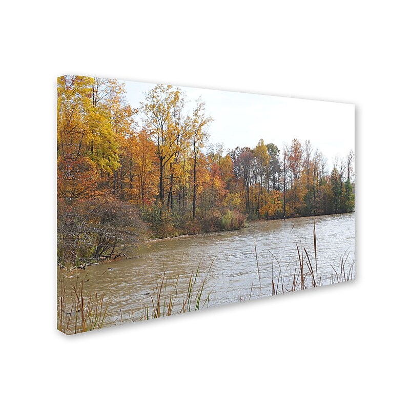 Trademark Monica Fleet "Just a Wonder" Gallery-Wrapped Canvas Art, 22" x 32" image 1
