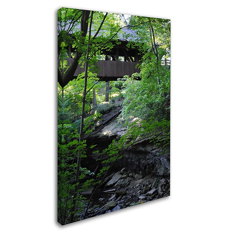 Trademark Monica Fleet "Latent Bridge" Gallery-Wrapped Canvas Art, 30" x 47" image 1