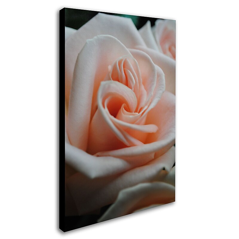 Trademark Monica Fleet "Leilani" Gallery-Wrapped Canvas Art, 30" x 47" image 1