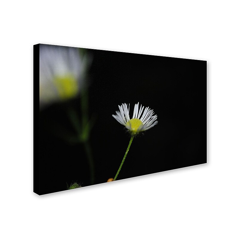 Trademark Monica Fleet "Light in the Dark" Gallery-Wrapped Canvas Art, 16" x 24" image 1