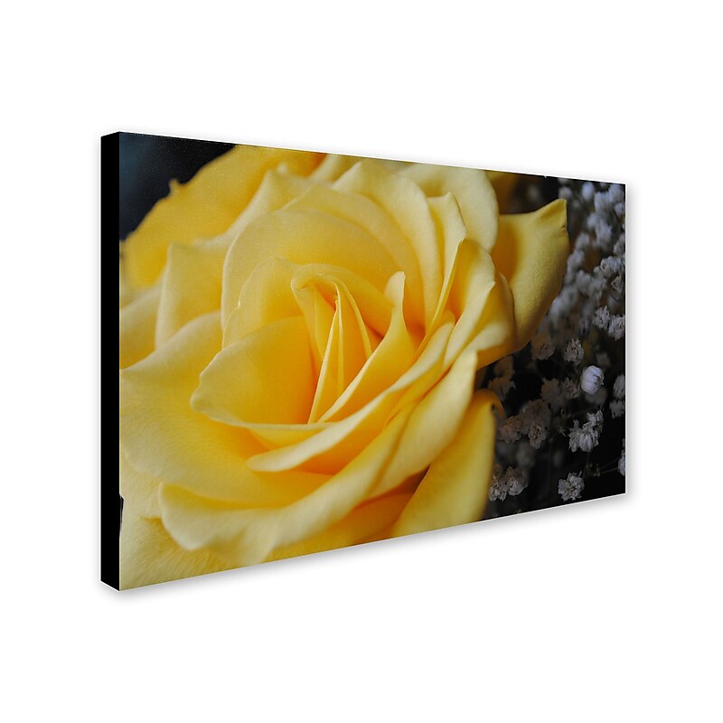 Trademark Monica Fleet "Maha'oi" Gallery-Wrapped Canvas Art, 12" x 19" image 1