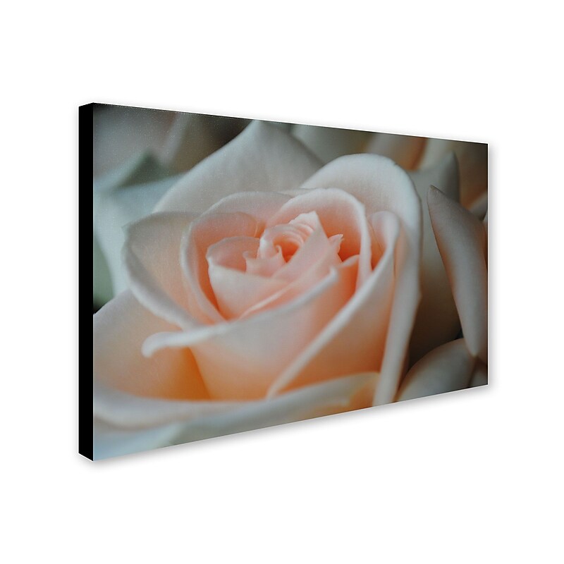 Trademark Monica Fleet "Perfezione" Gallery-Wrapped Canvas Art, 30" x 47" image 1