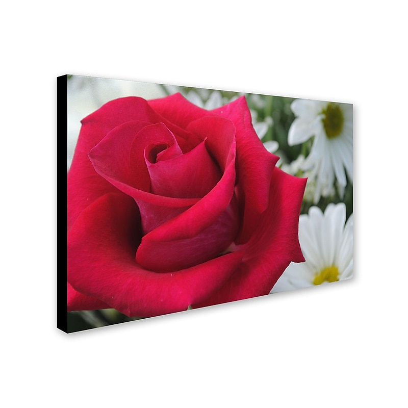 Trademark Monica Fleet "Pristine" Gallery-Wrapped Canvas Art, 30" x 47" image 1
