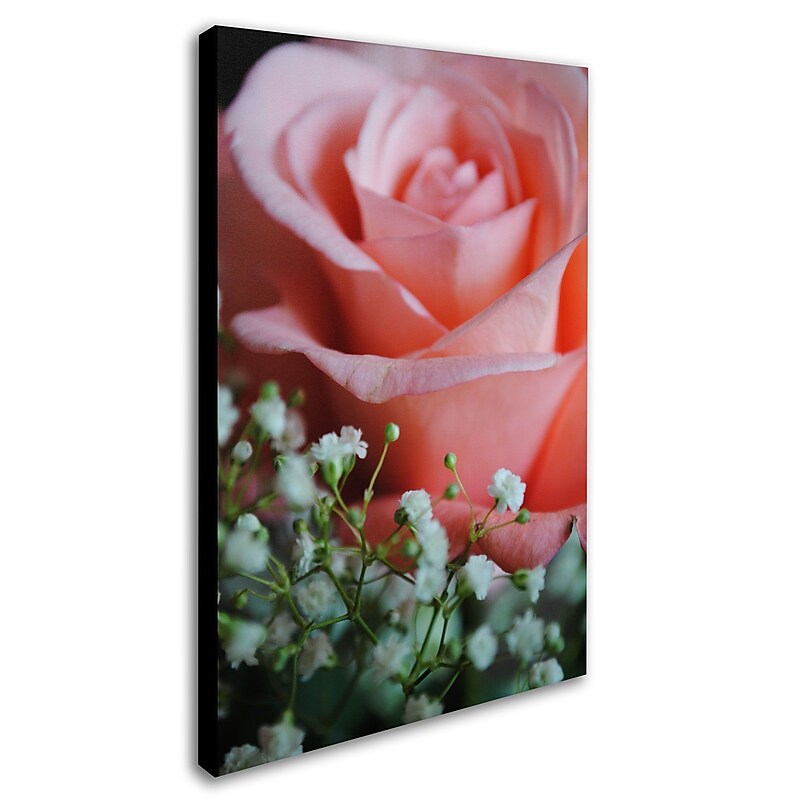 Trademark Monica Fleet "Snug Blossom" Gallery-Wrapped Canvas Art, 16" x 24" image 1