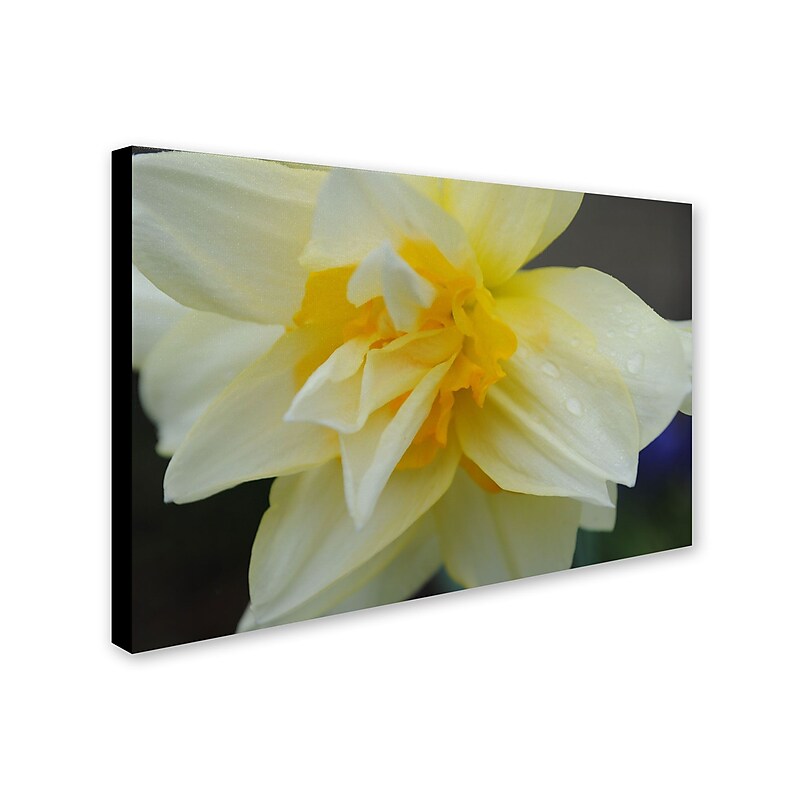 Trademark Monica Fleet "Sparkling Truth" Gallery-Wrapped Canvas Art, 30" x 47" image 1